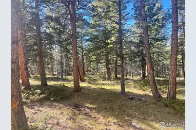 399 N Skinner Rd, Allenspark, CO 80510 - Photo 7