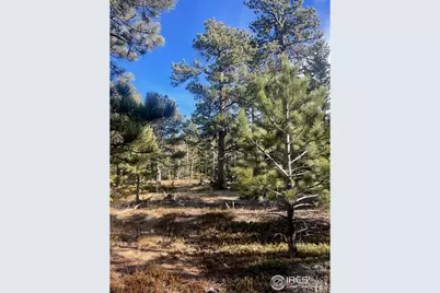 399 N Skinner Rd, Allenspark, CO 80510 - Photo 15