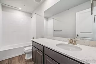 882 Mesic Ln, Windsor, CO 80550 - Photo 19