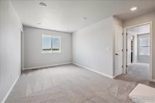 882 Mesic Ln, Windsor, CO 80550 - Photo 15