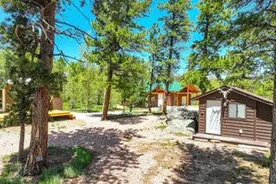 132 Nicola Way, Red Feather Lakes, CO 80545 - Photo 5