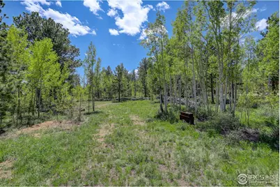 132 Nicola Way, Red Feather Lakes, CO 80545 - Photo 23