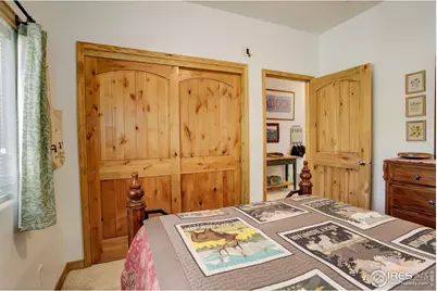 132 Nicola Way, Red Feather Lakes, CO 80545 - Photo 11