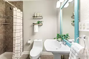 113 Oak St, Windsor, CO 80550 - Photo 11