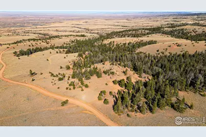 0 Wilderness Ranch Rd, Red Feather Lakes, CO 80545 - Photo 17