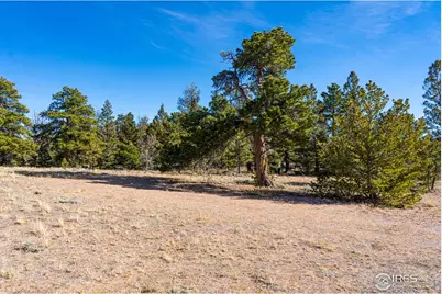 0 Wilderness Ranch Rd, Red Feather Lakes, CO 80545 - Photo 7