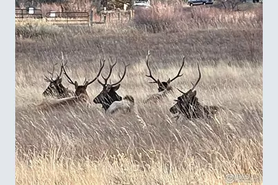 613 Cove Dr, Loveland, CO 80537 - Photo 49