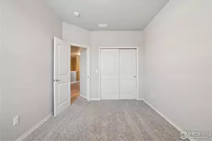 1694 Grand Ave, Windsor, CO 80550 - Photo 23