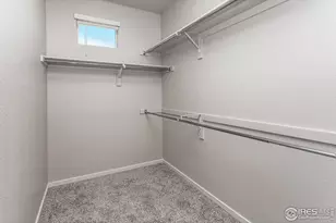 1811 Bounty Dr, Windsor, CO 80550 - Photo 33