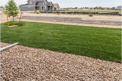 754 Trumpet Ct, Windsor, CO 80550 - Photo 37