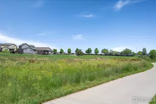 2000 Bayfront Dr, Windsor, CO 80550 - Photo 41