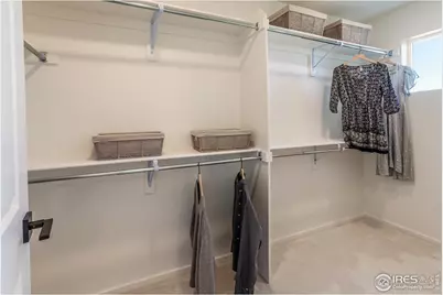 979 Trumpet Ln, Windsor, CO 80550 - Photo 27