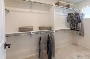 979 Trumpet Ln, Windsor, CO 80550 - Photo 27