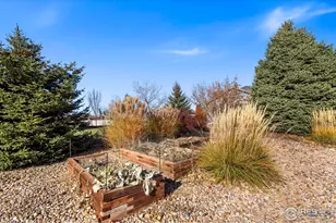 7414 Ladbroke Dr, Windsor, CO 80550 - Photo 31