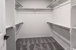 4909 Autumn Leaf Dr, Timnath, CO 80547 - Photo 33