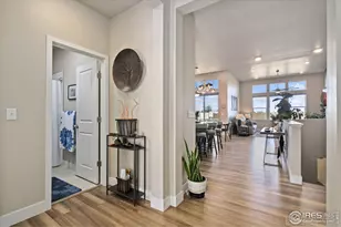 6768 Castello St, Timnath, CO 80547 - Photo 5