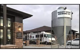 7258 Spanish Bay Dr, Windsor, CO 80550 - Photo 47