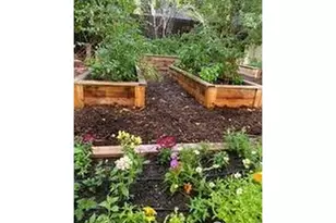 1230 W Mountain Ave, Fort Collins, CO 80521 - Photo 39