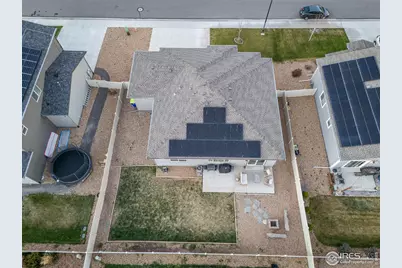 3893 Sweetgum St, Wellington, CO 80549 - Photo 3