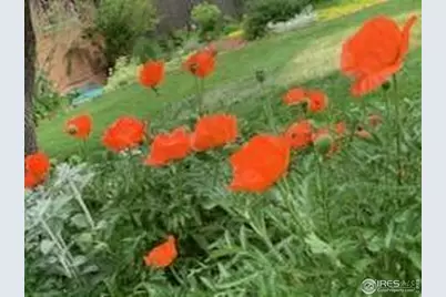 1219 23rd Ave Ct, Greeley, CO 80634 - Photo 5