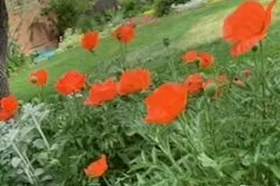 1219 23rd Ave Ct, Greeley, CO 80634 - Photo 5