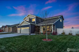 6796 Sumner St, Wellington, CO 80549 - Photo 35