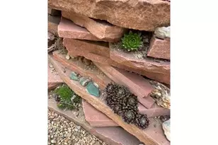 1111 Utica Cir, Boulder, CO 80304 - Photo 35