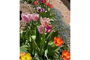 1111 Utica Cir, Boulder, CO 80304 - Photo 37