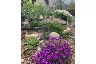 1111 Utica Cir, Boulder, CO 80304 - Photo 33