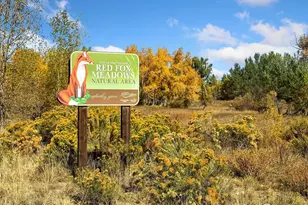 1725 Ridgewood Rd, Fort Collins, CO 80526 - Photo 41