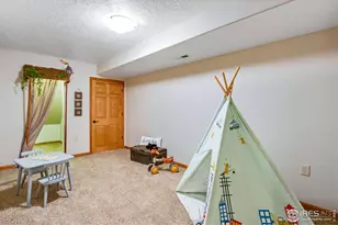 335 N Shore Circle, Windsor, CO 80550 - Photo 45