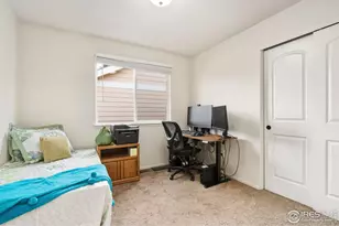 1555 New Season Dr, Windsor, CO 80550 - Photo 25