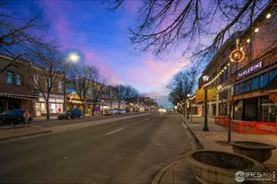 331 Main St, Longmont, CO 80501 - Photo 49