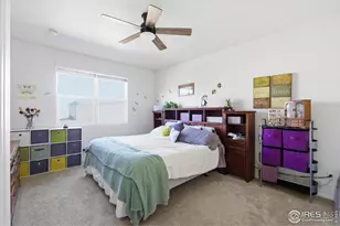 916 Birchdale Ct, Windsor, CO 80550 - Photo 13