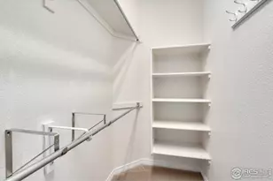 5328 Moonlight Bay Dr, Windsor, CO 80528 - Photo 21