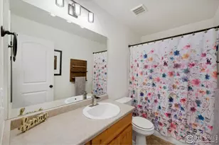 723 Valleybrook Dr, Windsor, CO 80550 - Photo 17