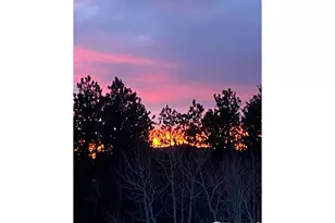 198 Frontier Ln, Nederland, CO 80466 - Photo 19