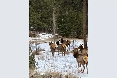 198 Frontier Ln, Nederland, CO 80466 - Photo 47