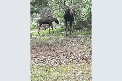 198 Frontier Ln, Nederland, CO 80466 - Photo 45