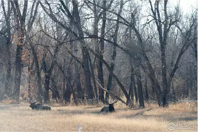 627 Moose Ct, Loveland, CO 80537 - Photo 43