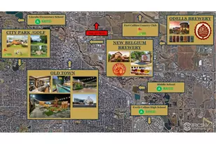 1003 Schlagel, Fort Collins, CO 80524 - Photo 25