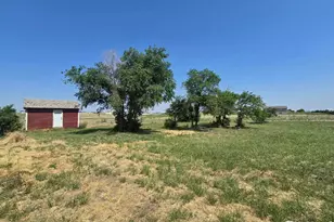 7926 County Road P 2, Wiggins, CO 80654 - Photo 5