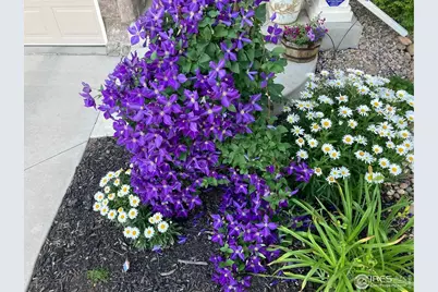 4842 Valley Oak Dr, Loveland, CO 80538 - Photo 43