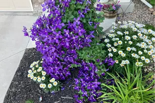 4842 Valley Oak Dr, Loveland, CO 80538 - Photo 43