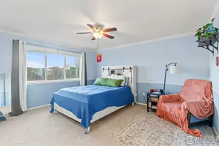 206 Windflower Way, Severance, CO 80550 - Photo 11