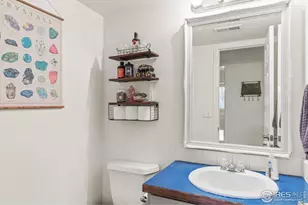 206 Windflower Way, Severance, CO 80550 - Photo 23