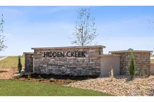 7333 Swan River St, Frederick, CO 80530 - Photo 21