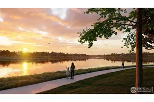 5593 Zadie Ave, Timnath, CO 80547 - Photo 15