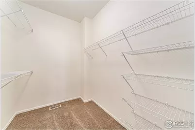 447 Havenbrook Dr, Windsor, CO 80550 - Photo 15