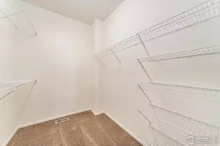 447 Havenbrook Dr, Windsor, CO 80550 - Photo 15